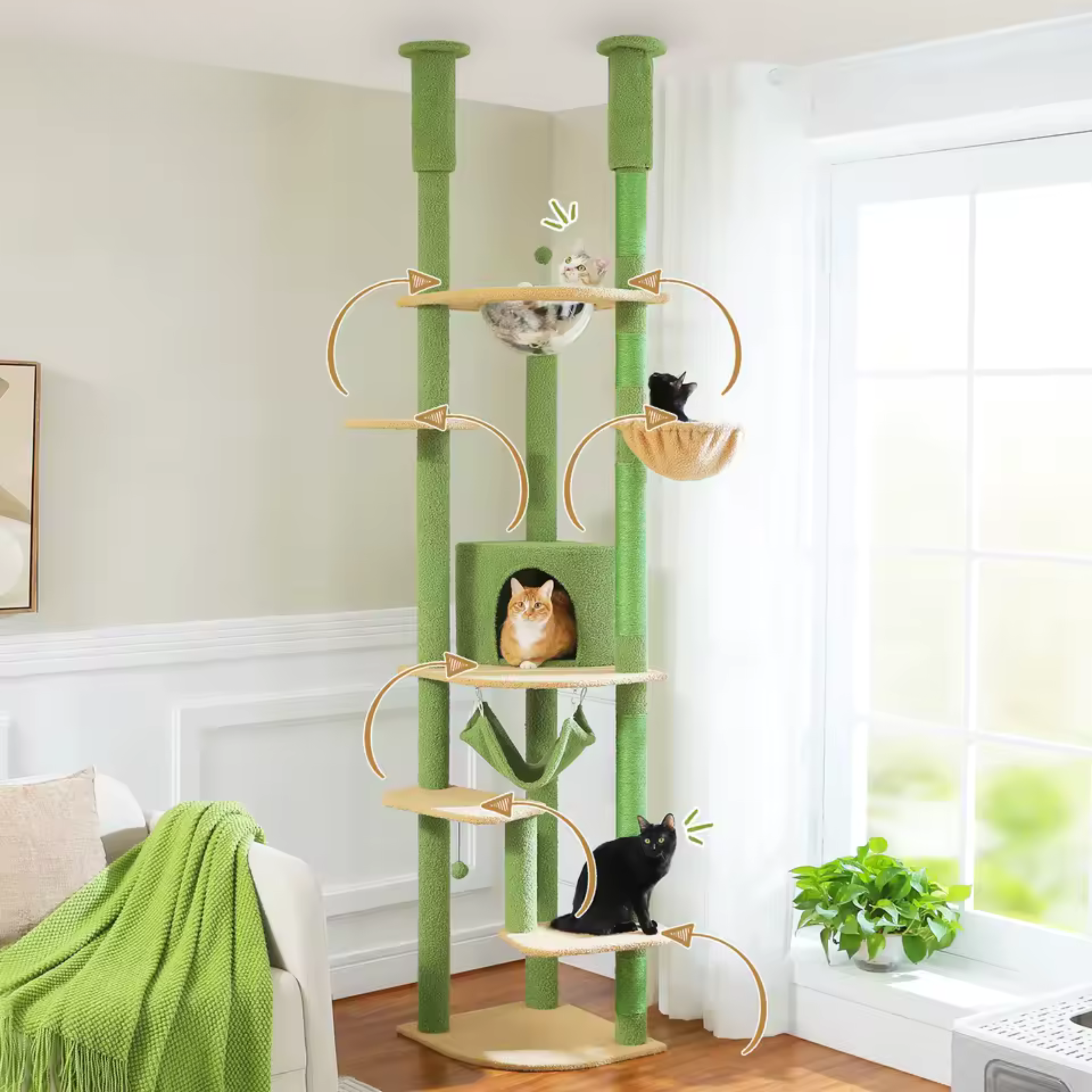 Arbre à Chat Familial Sol au Plafond