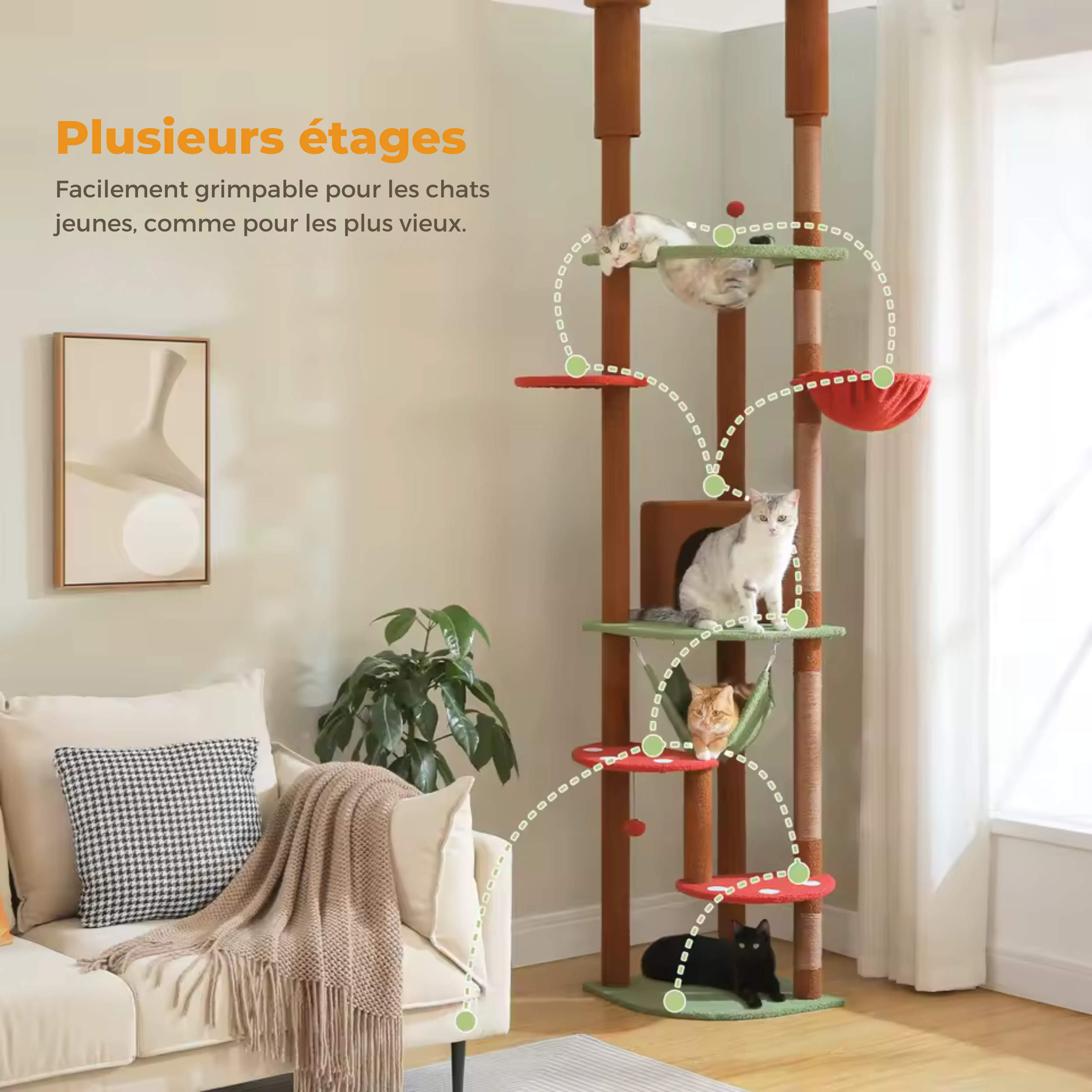 Arbre à Chat Familial Sol au Plafond