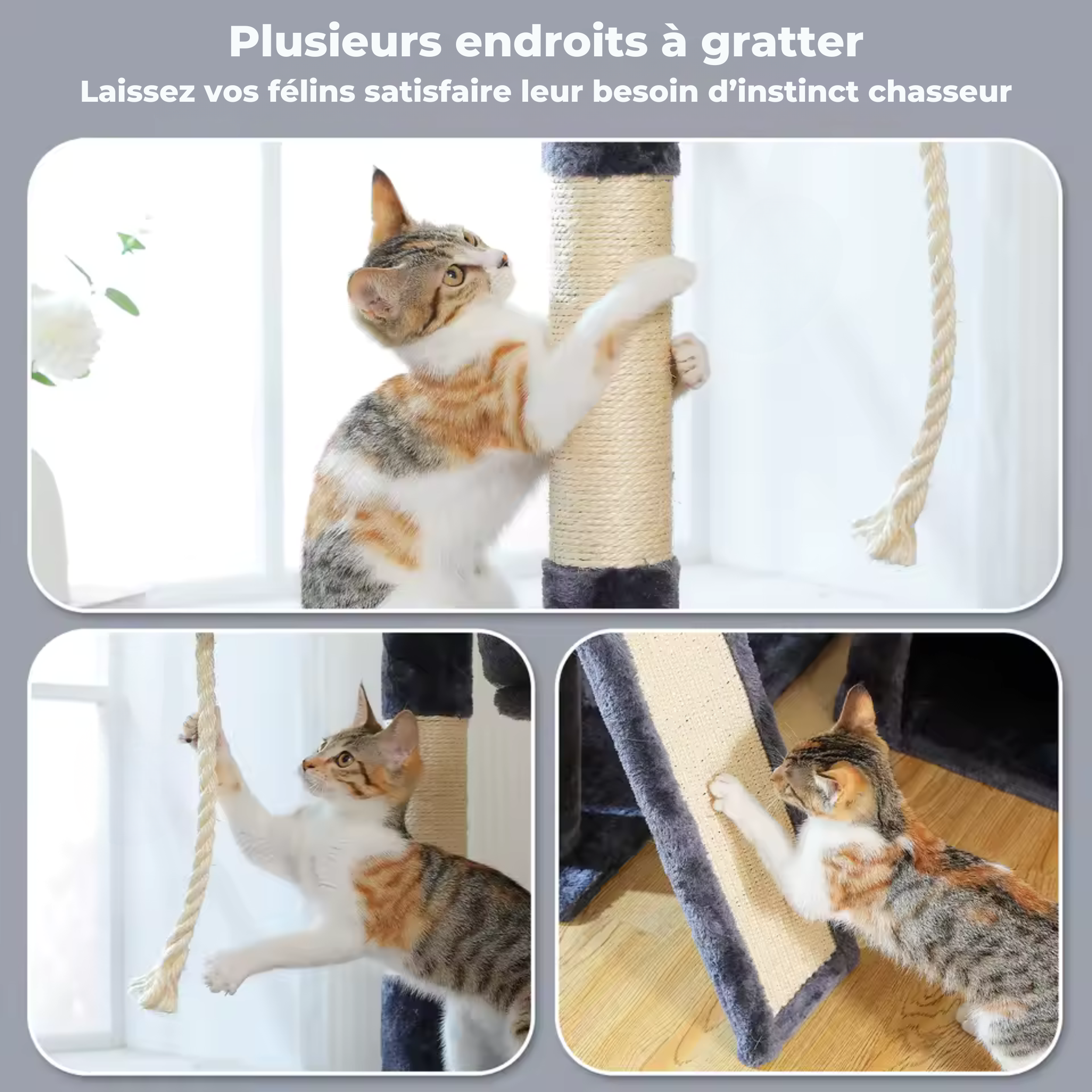 Arbre à Chat avec Jouets intégrés