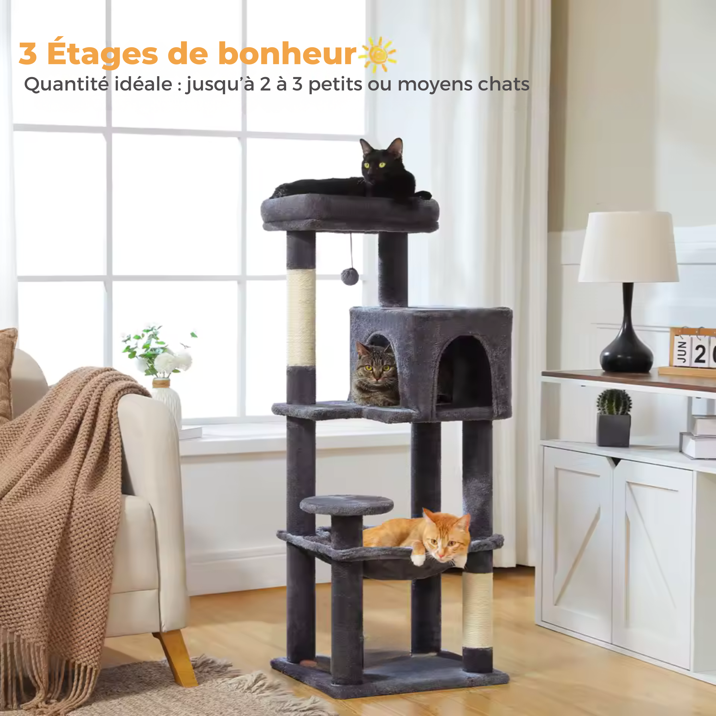 Arbre à Chat Cabane Multiniveaux