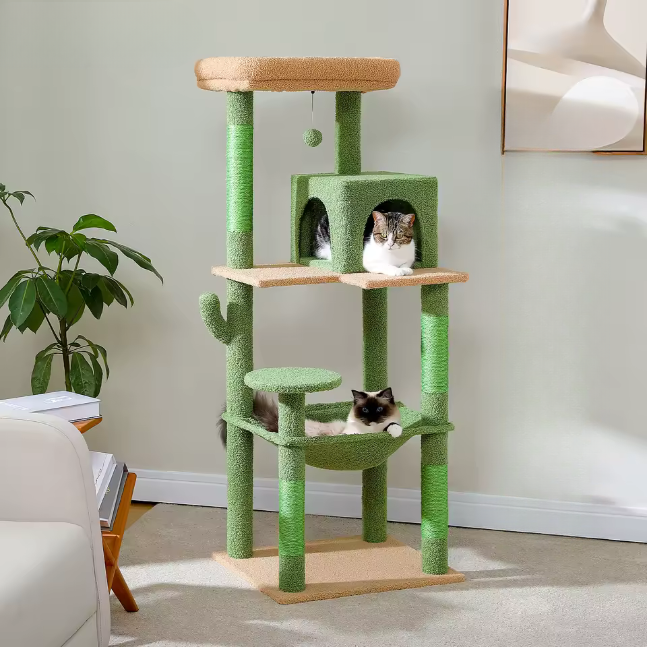 Arbre à Chat Cactus avec Cabane