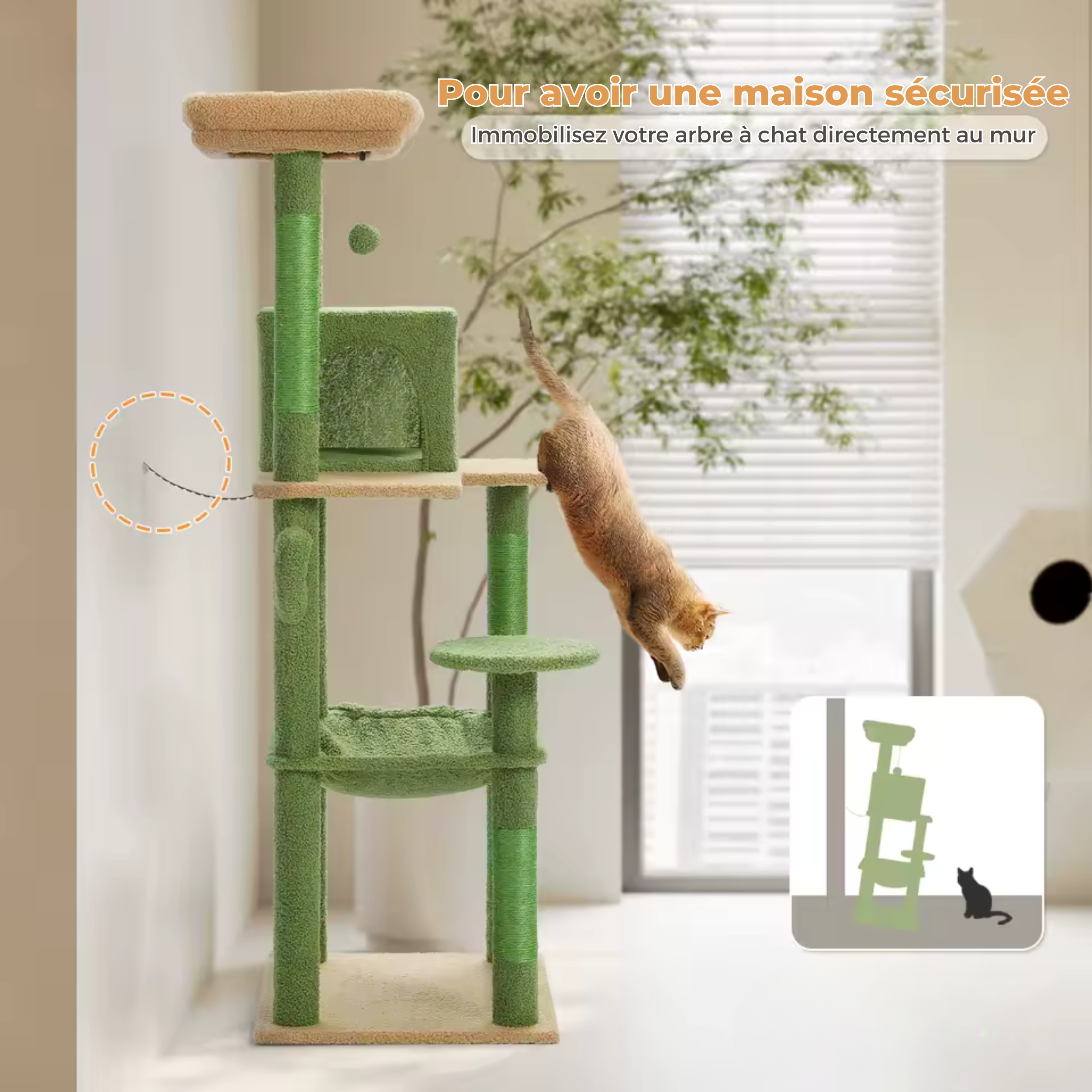 Arbre à Chat Cactus avec Cabane