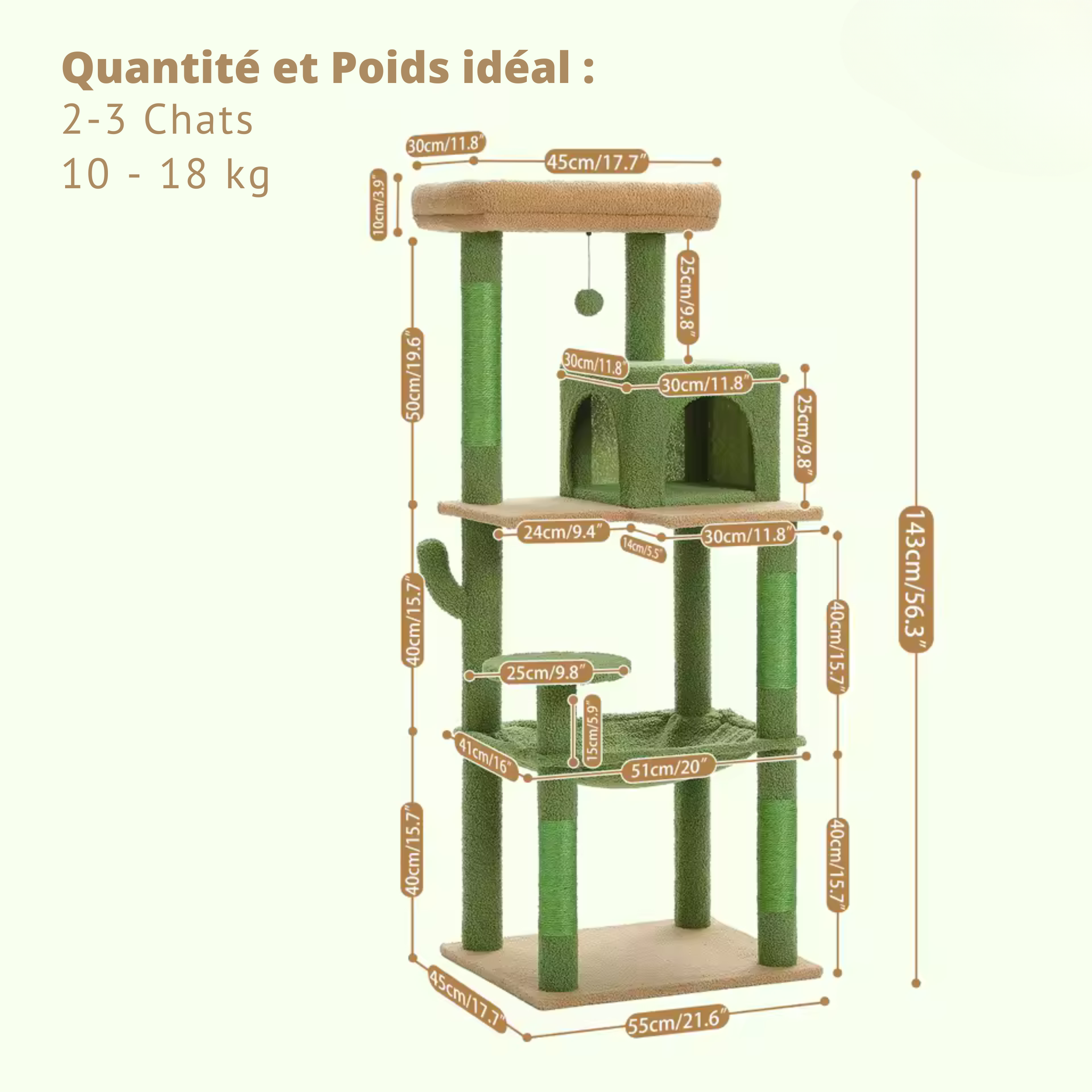 Arbre à Chat Cactus avec Cabane
