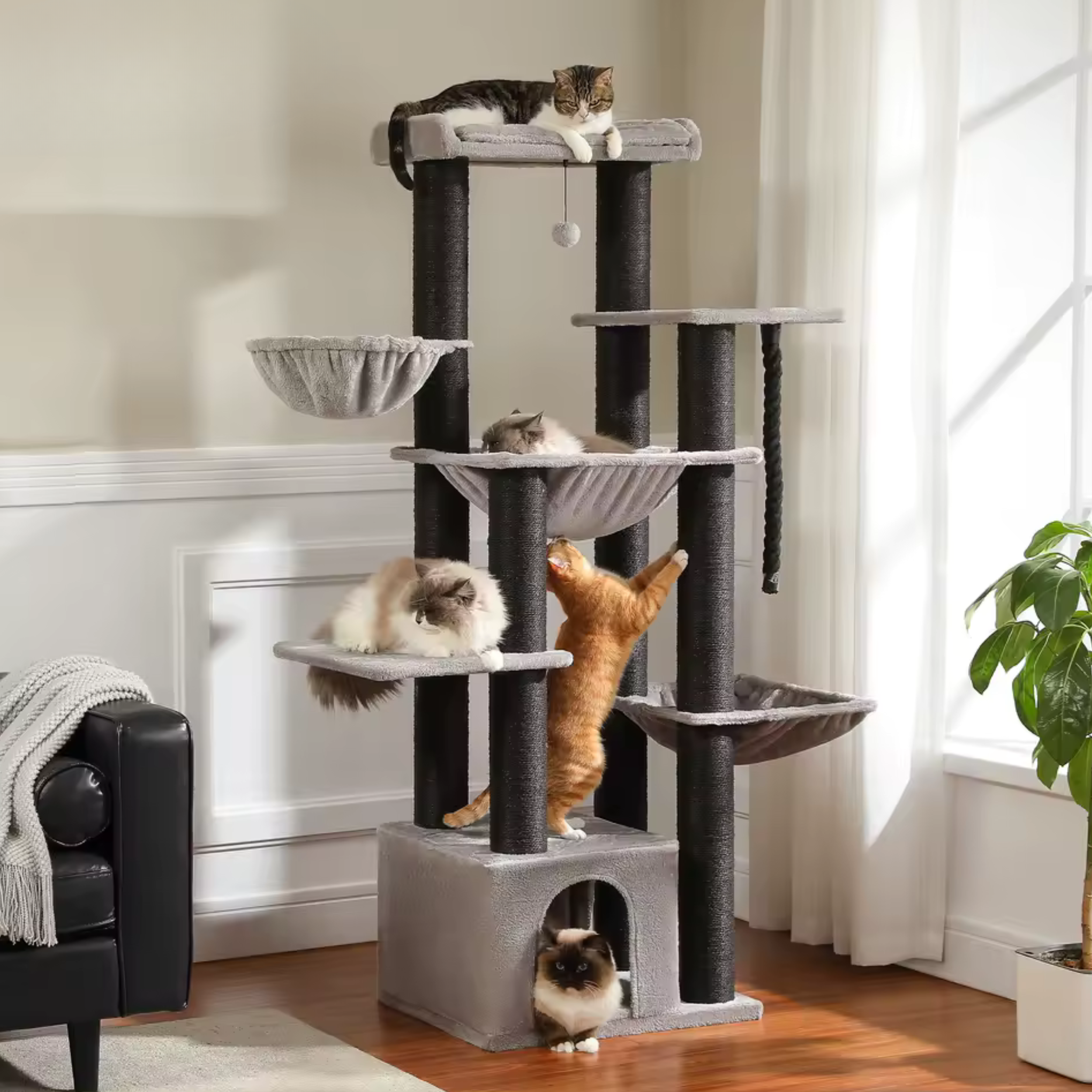 Arbre à Chat XXL Familial