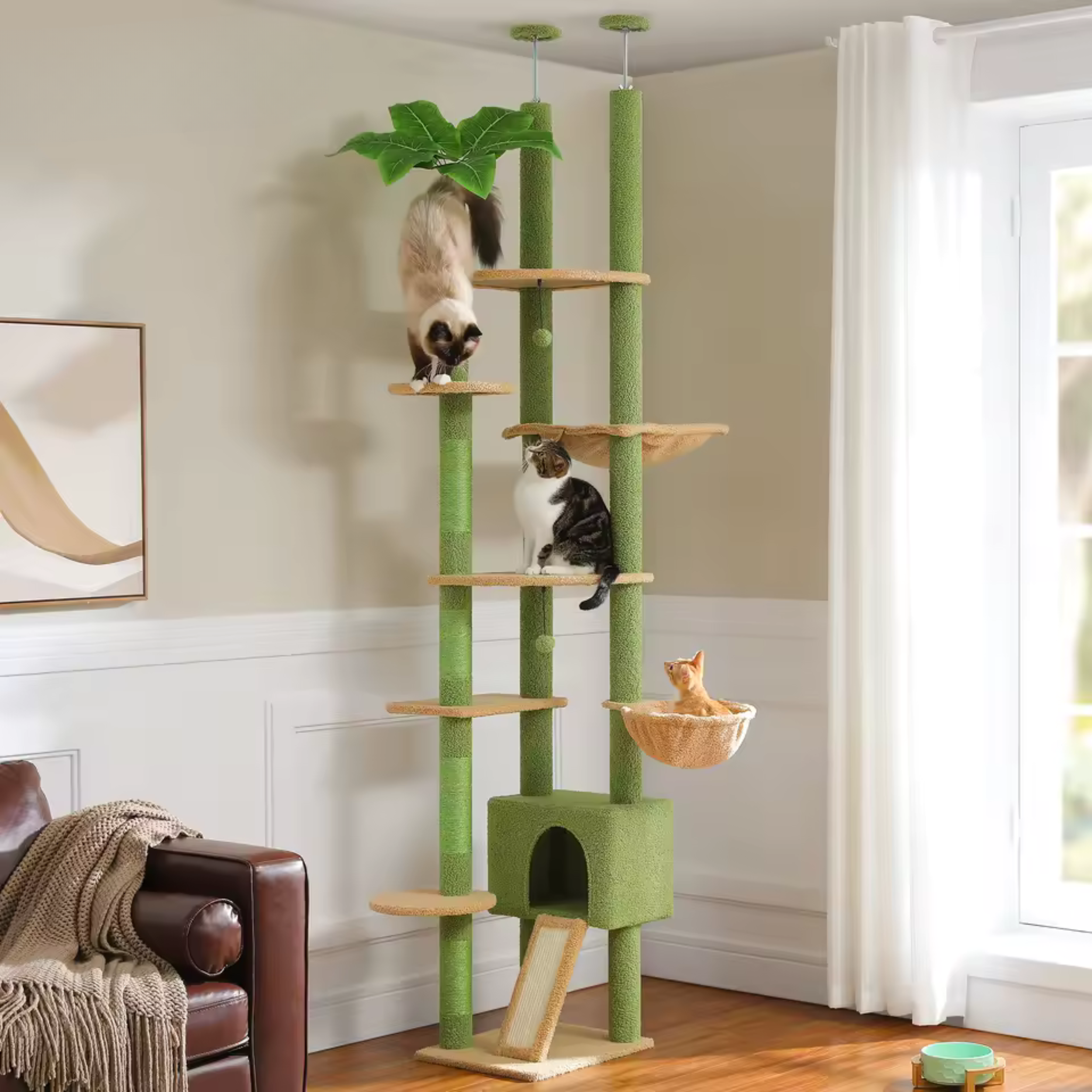 Arbre à Chat Cactus Sol au Plafond