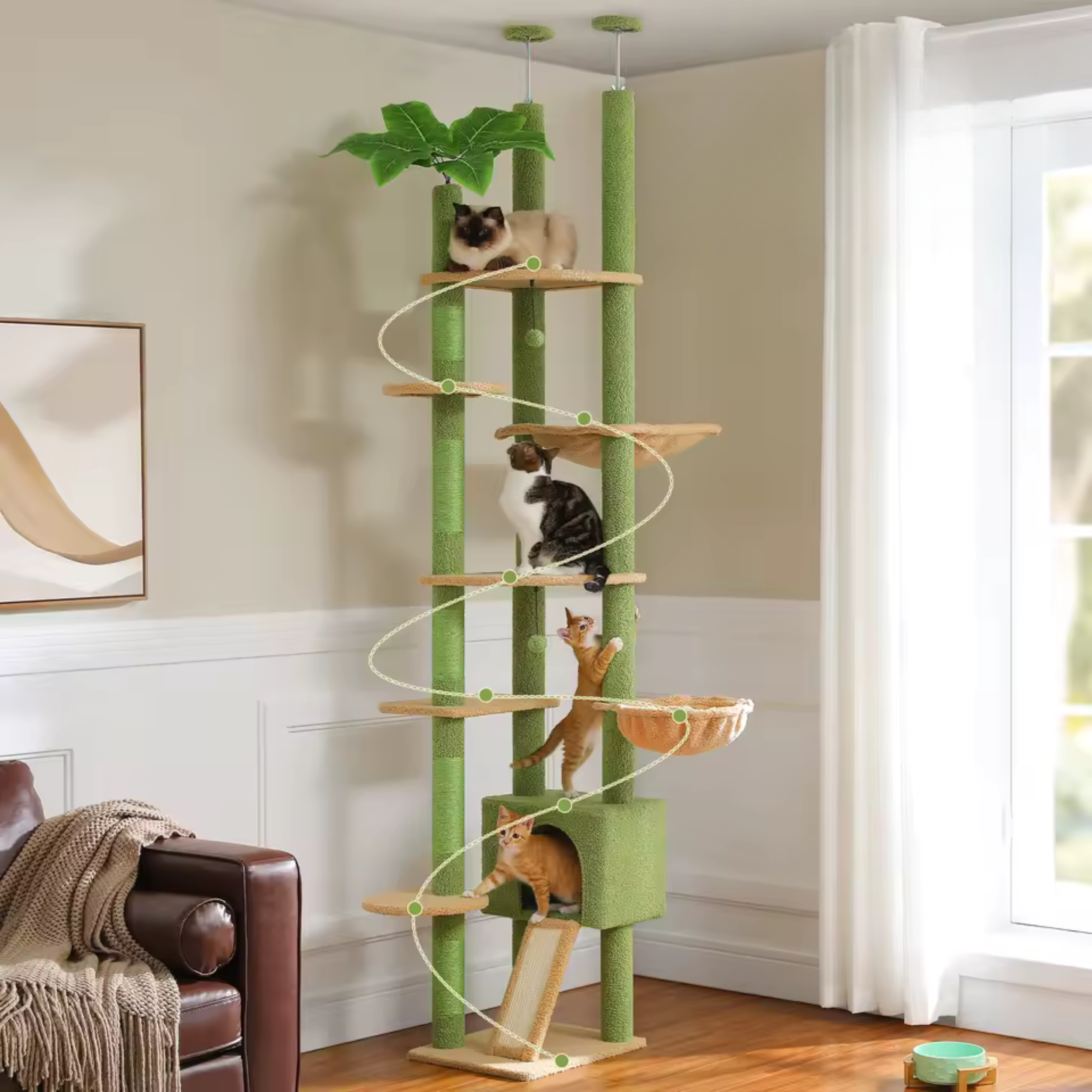 Arbre à Chat Cactus Sol au Plafond