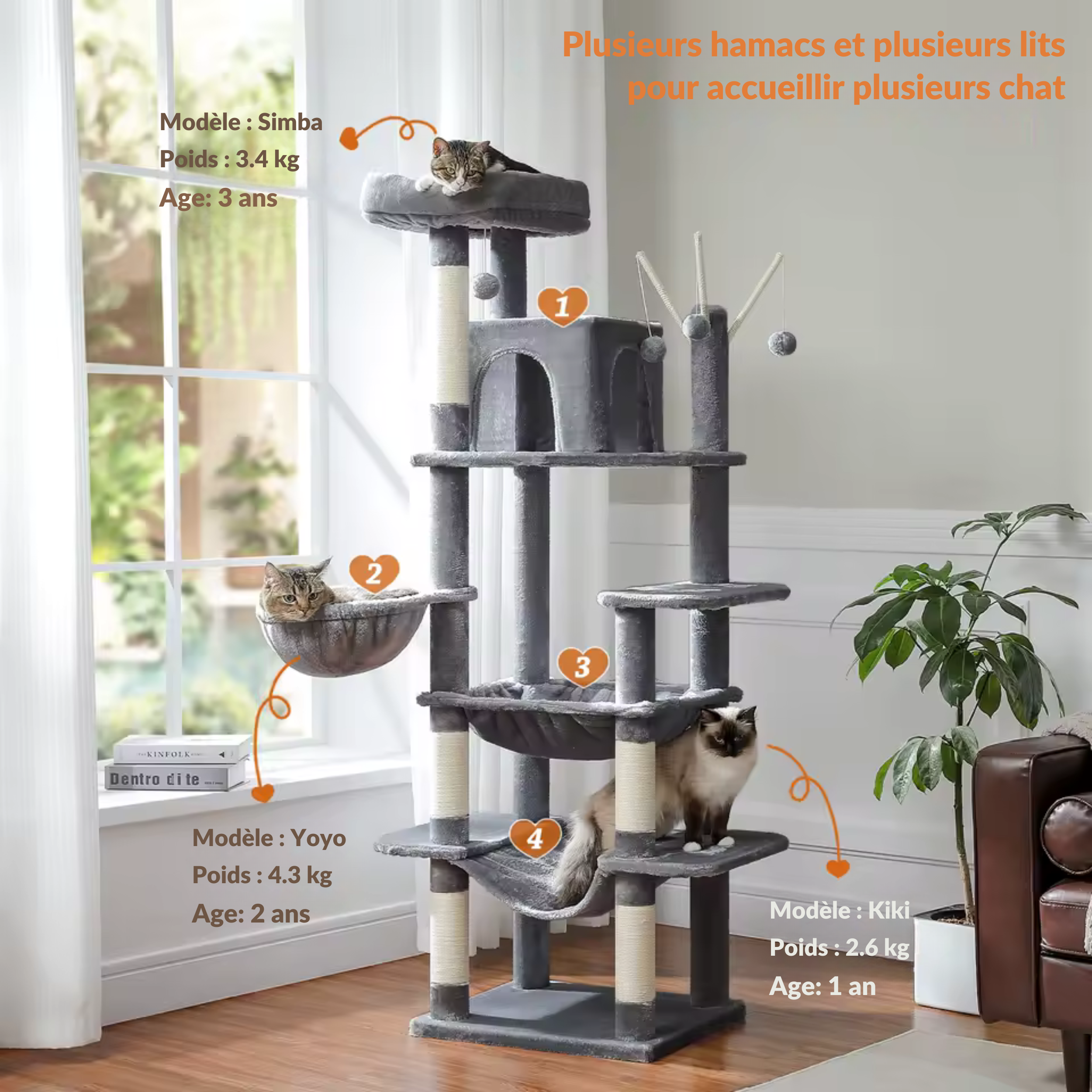 Arbre à Chat Triple Hamac