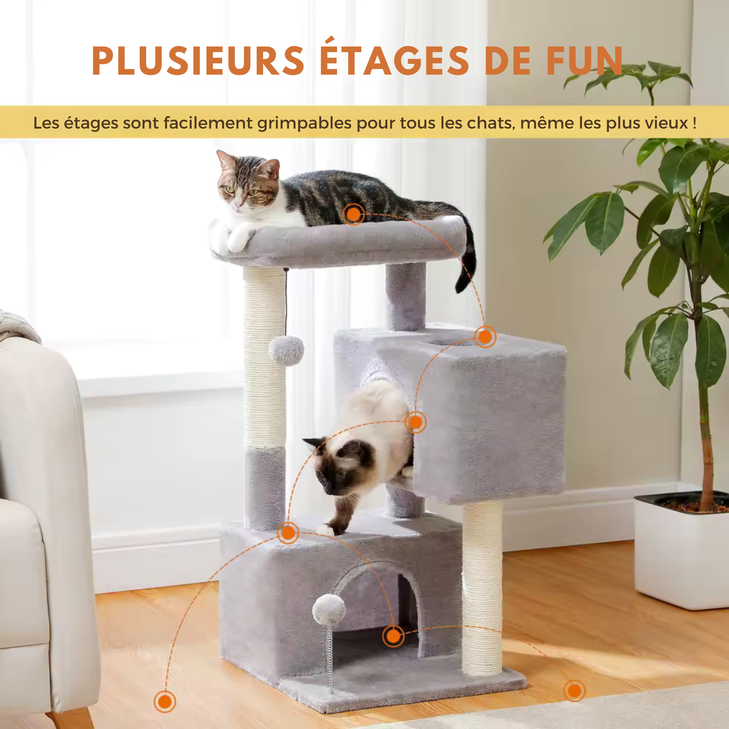 Arbre à Chat Minimaliste