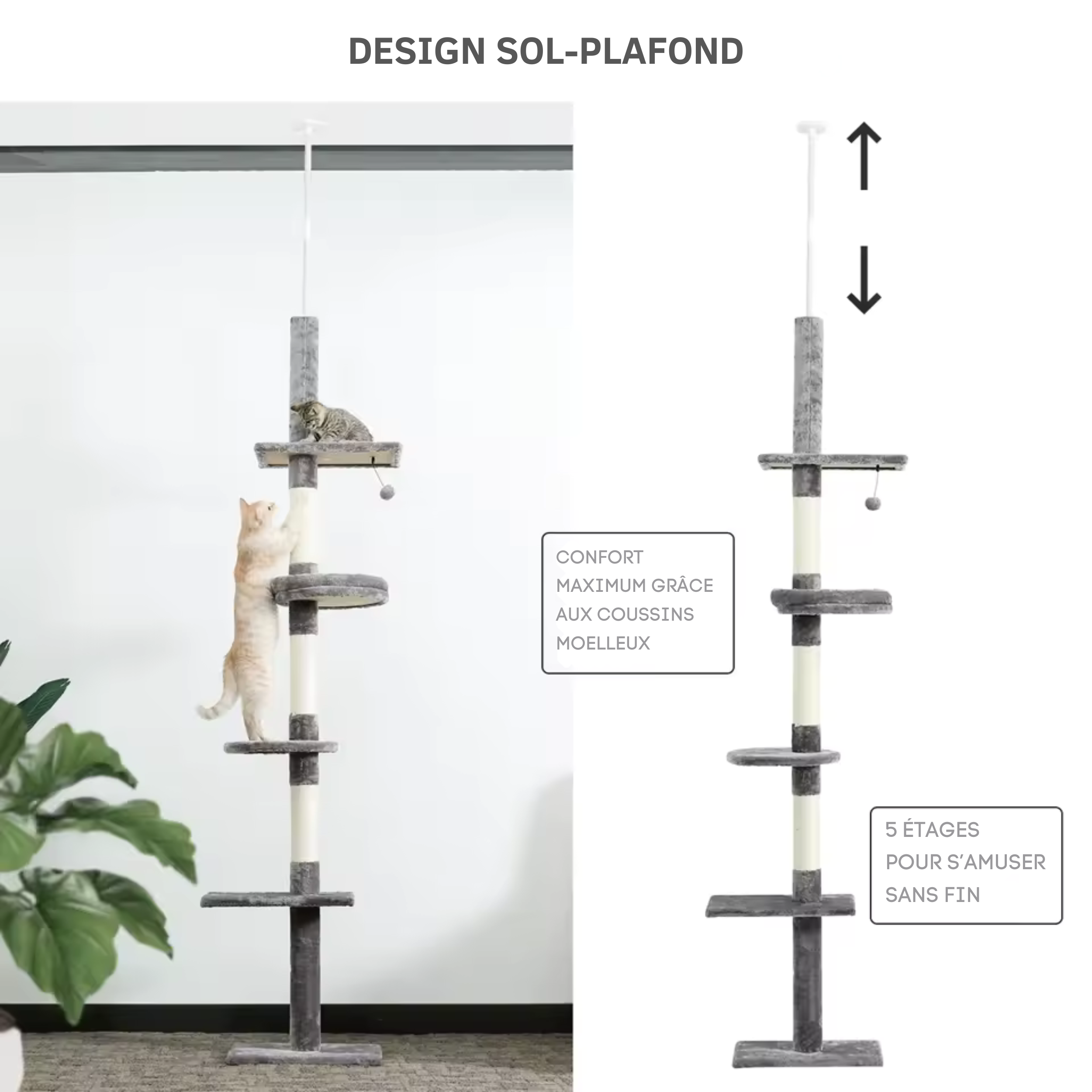 Arbre à Chat Multiniveaux Sol au Plafond