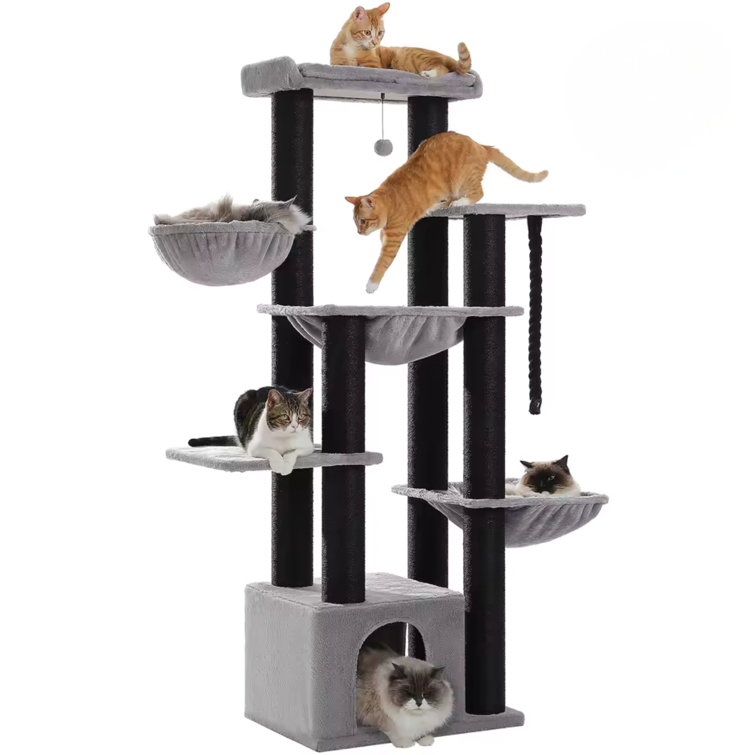 Arbre à Chat XXL Familial