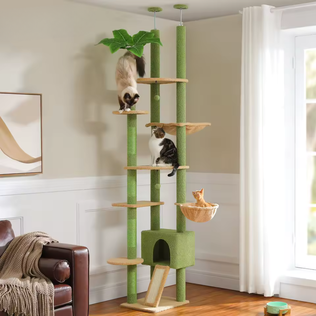 Arbre à Chat Cactus Sol au Plafond