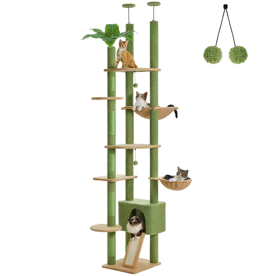 Arbre à Chat Cactus Sol au Plafond
